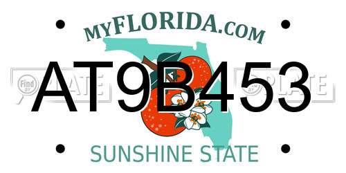 AT9B453 Florida License Plate