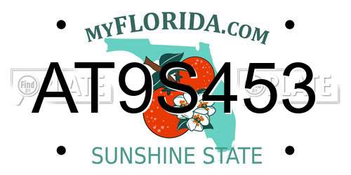 AT9S453 Florida License Plate