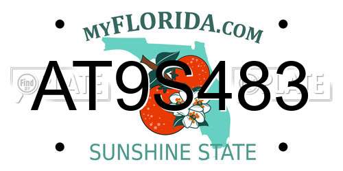 AT9S483 Florida License Plate