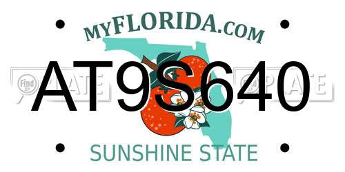 AT9S640 Florida License Plate