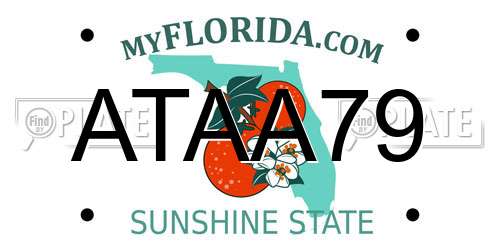 ATAA79 Florida License Plate