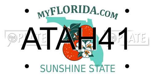 ATAH41 Florida License Plate