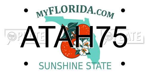 ATAH75 Florida License Plate