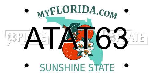 ATAT63 Florida License Plate