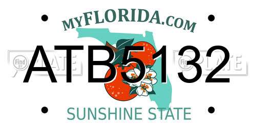 ATB5132 Florida License Plate