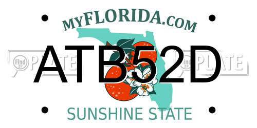 ATB52D Florida License Plate