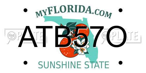 ATB57O Florida License Plate