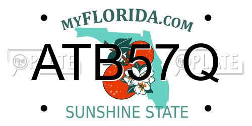 ATB57Q Florida License Plate