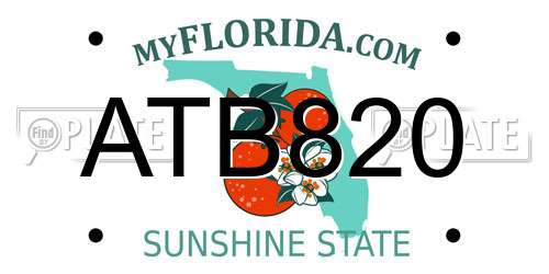 ATB820 Florida License Plate