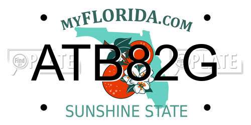 ATB82G Florida License Plate