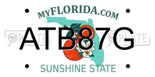 ATB87G Florida License Plate