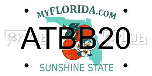 ATBB20 Florida License Plate