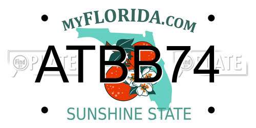ATBB74 Florida License Plate