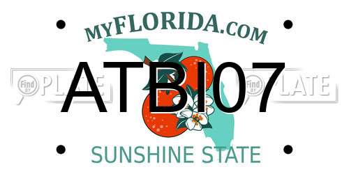 ATBI07 Florida License Plate