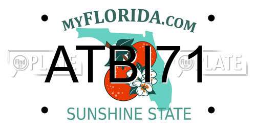 ATBI71 Florida License Plate