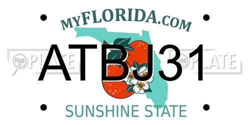 ATBJ31 Florida License Plate