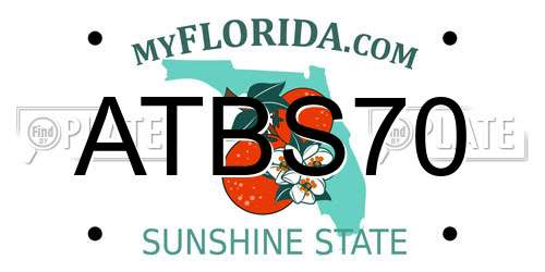 ATBS70 Florida License Plate