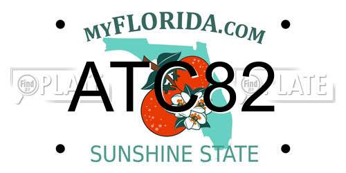ATC82 Florida License Plate