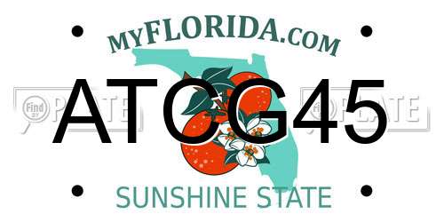 ATCG45 Florida License Plate