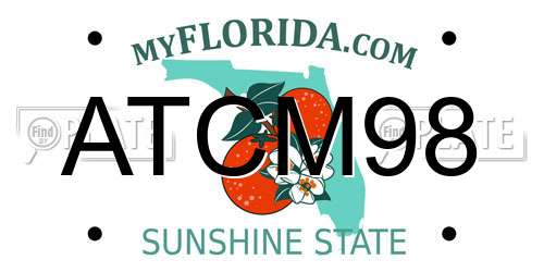 ATCM98 Florida License Plate