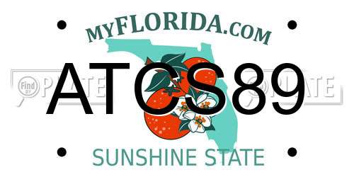 ATCS89 Florida License Plate