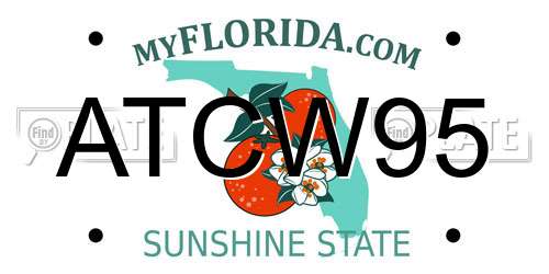 ATCW95 Florida License Plate