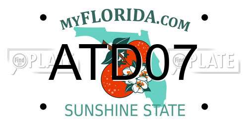 ATD07 Florida License Plate