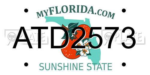 ATD2573 Florida License Plate