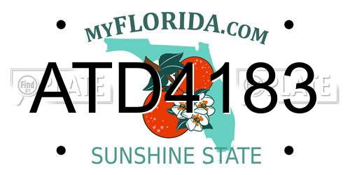 ATD4183 Florida License Plate
