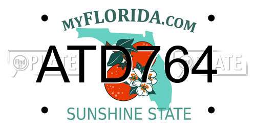 ATD764 Florida License Plate