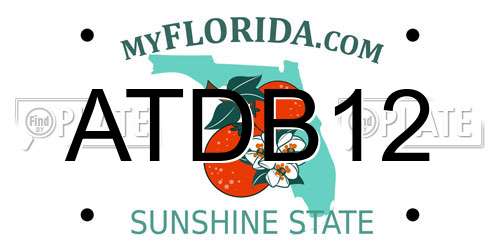 ATDB12 Florida License Plate