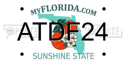 ATDF24 Florida License Plate