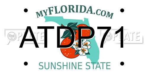 ATDP71 Florida License Plate