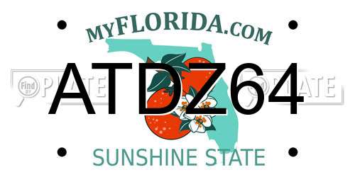 ATDZ64 Florida License Plate