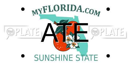 ATE Florida License Plate