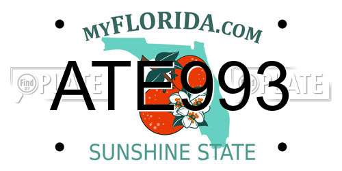 ATE993 Florida License Plate