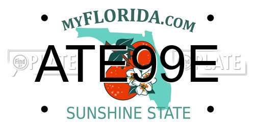 ATE99E Florida License Plate