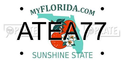 ATEA77 Florida License Plate