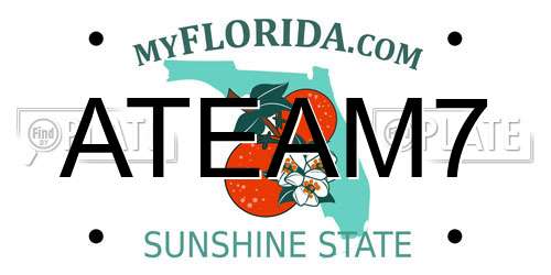 ATEAM7 Florida License Plate