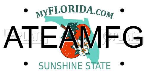ATEAMFG Florida License Plate