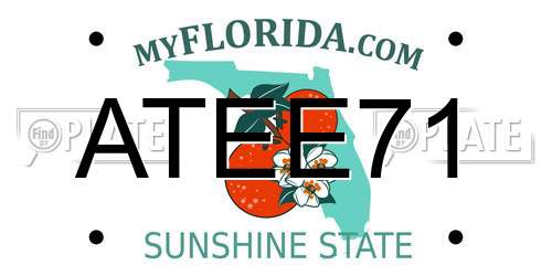 ATEE71 Florida License Plate