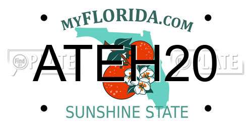 ATEH20 Florida License Plate