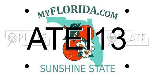 ATEI13 Florida License Plate