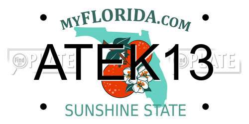 ATEK13 Florida License Plate