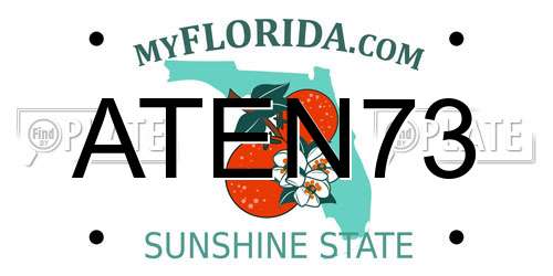 ATEN73 Florida License Plate