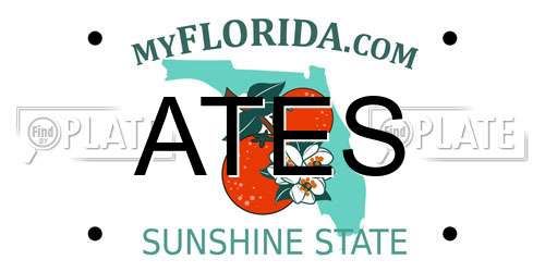 ATES Florida License Plate