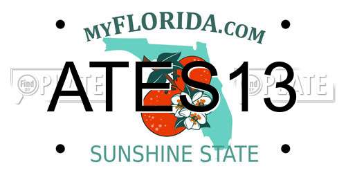 ATES13 Florida License Plate