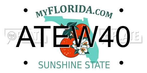 ATEW40 Florida License Plate