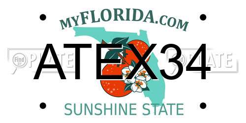ATEX34 Florida License Plate
