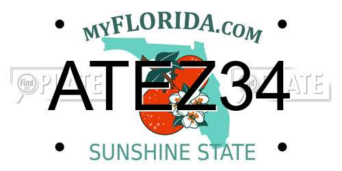ATEZ34 Florida License Plate